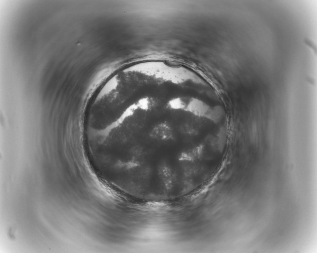 X0000093400055200711020943