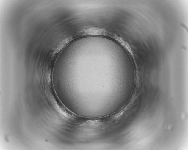 X0000093400057200711020943