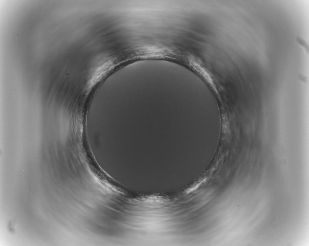 X0000093400059200711020943