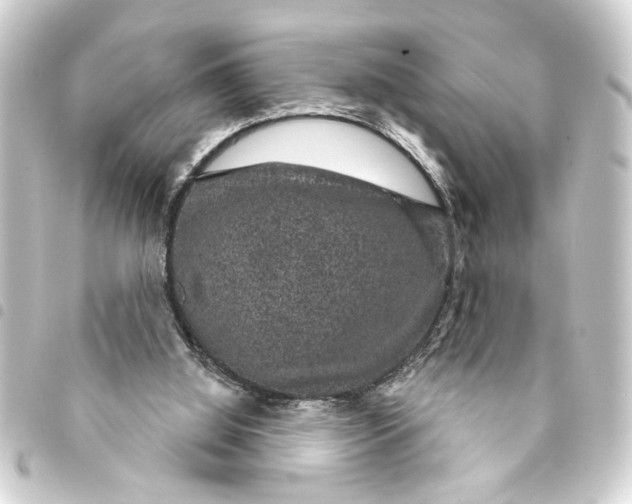 X0000093400060200711020943