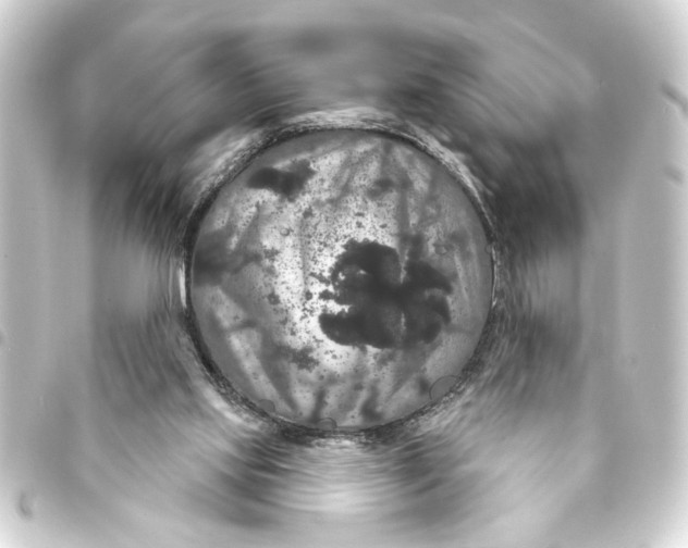 X0000093400061200711020943