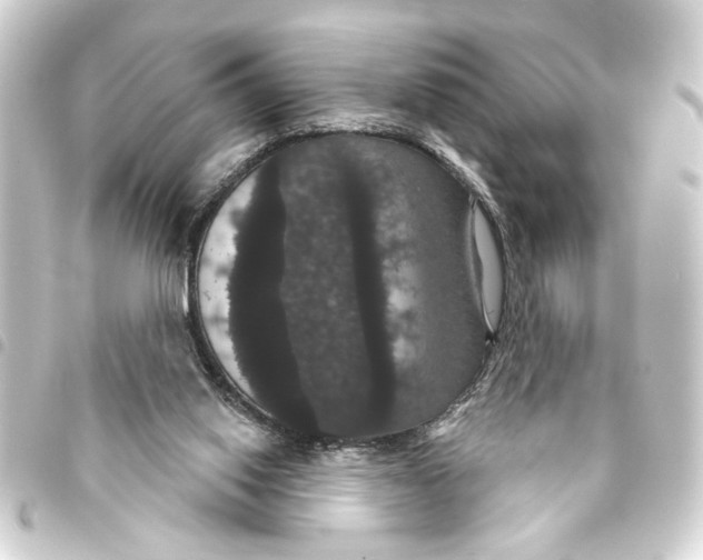 X0000093400062200711020943