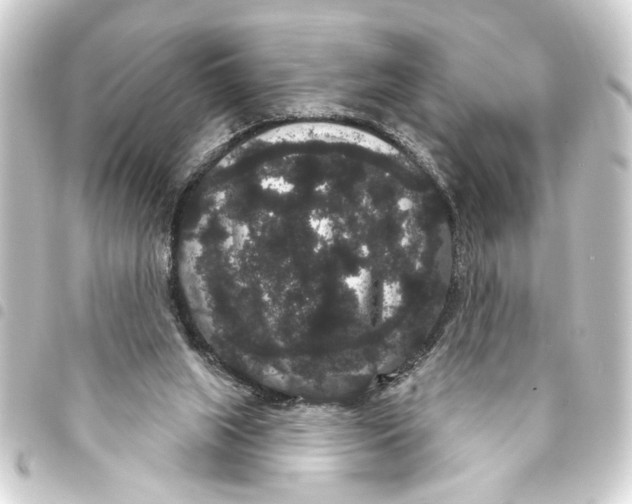 X0000093400063200711020943