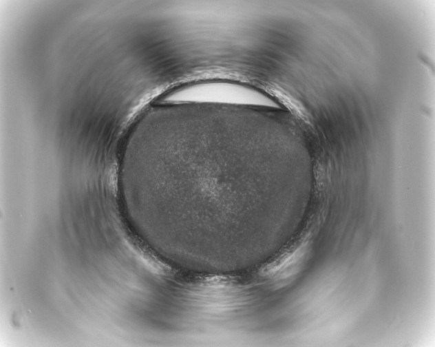 X0000093400064200711020943