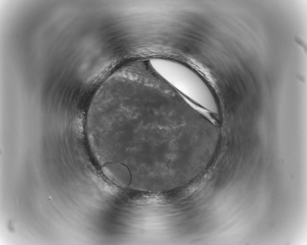 X0000093400065200711020943