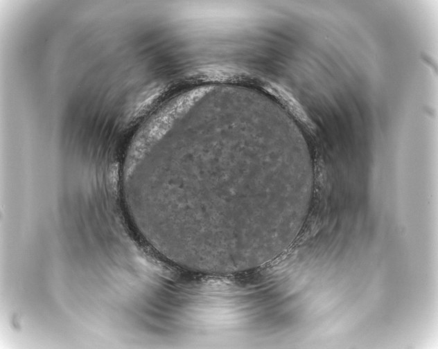 X0000093400066200711020943