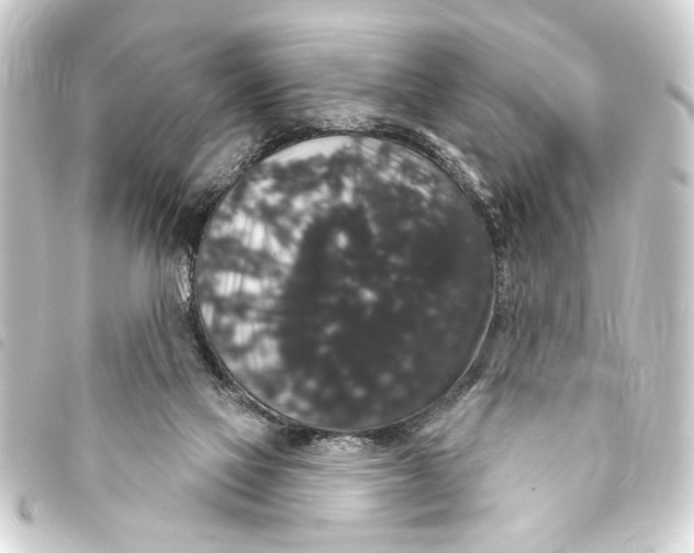 X0000093400069200711020943