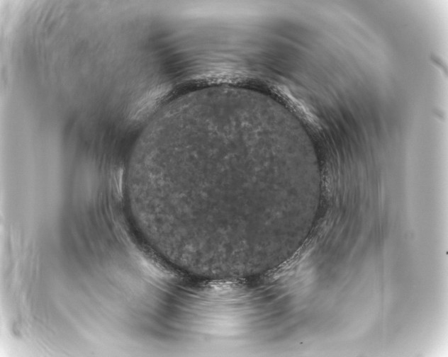 X0000093400070200711020943