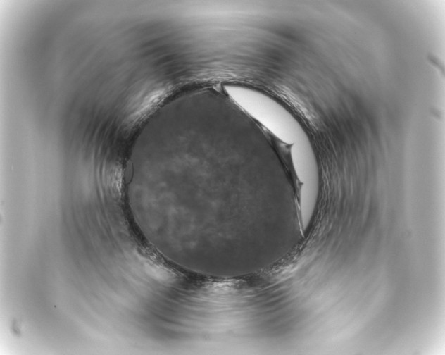 X0000093400072200711020943