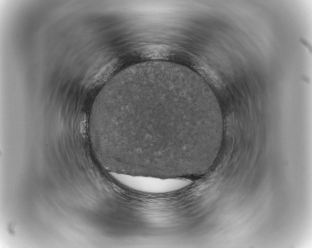 X0000093400073200711020943