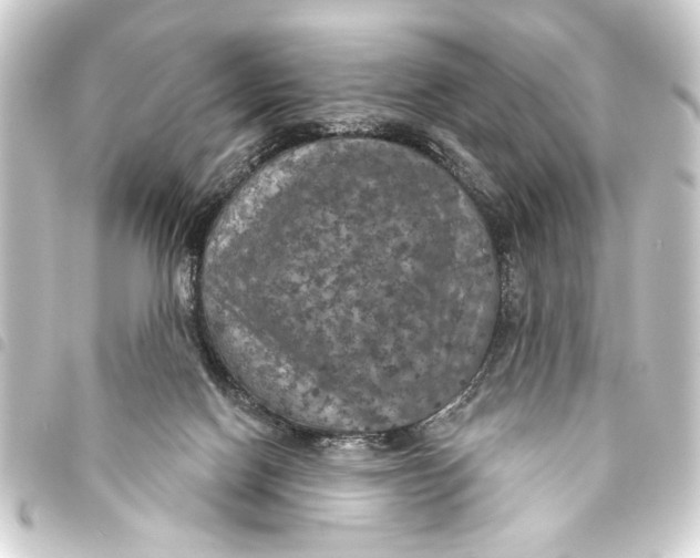 X0000093400074200711020943