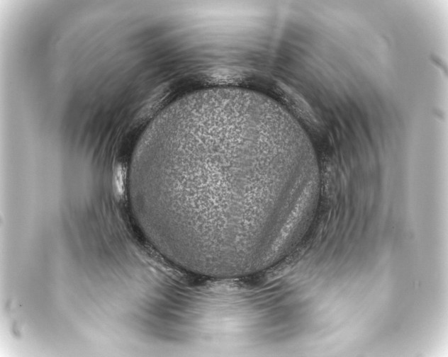 X0000093400075200711020943