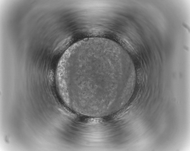 X0000093400077200711020943