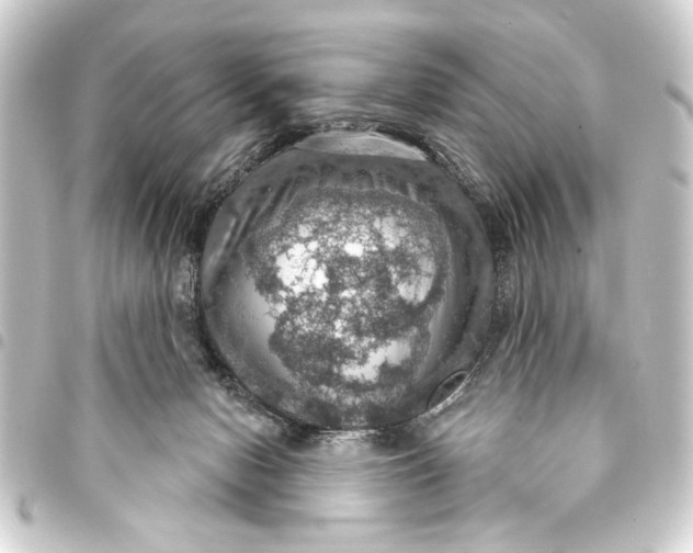 X0000093400078200711020943