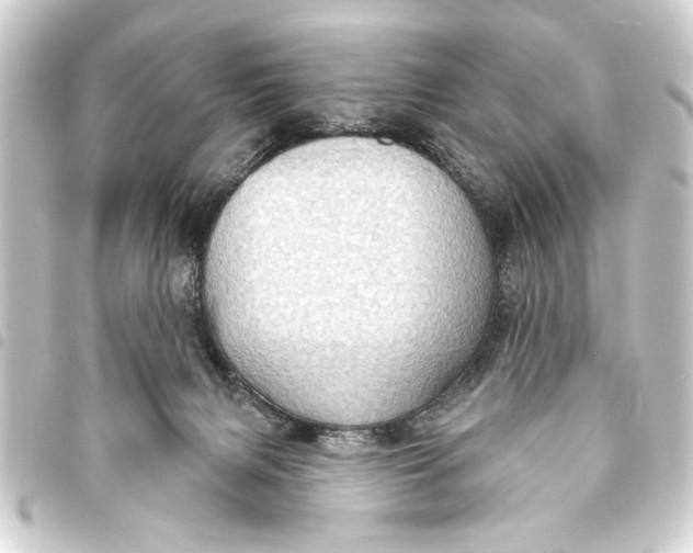 X0000093400079200711020943