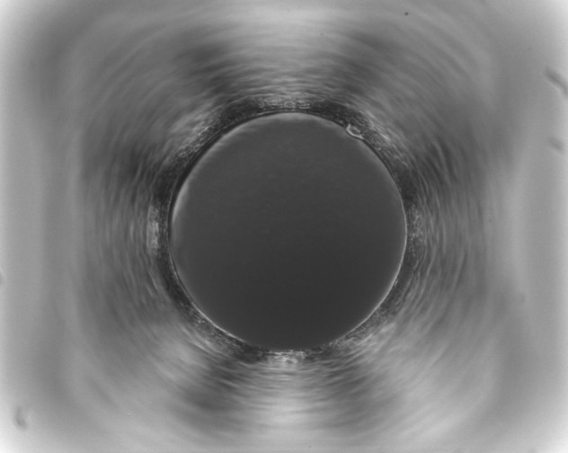 X0000093400080200711020943