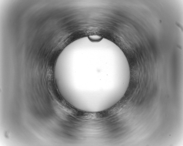 X0000093400083200711020943