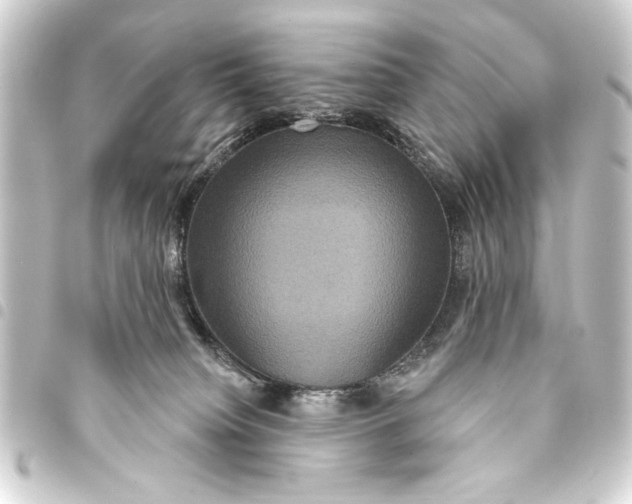 X0000093400084200711020943