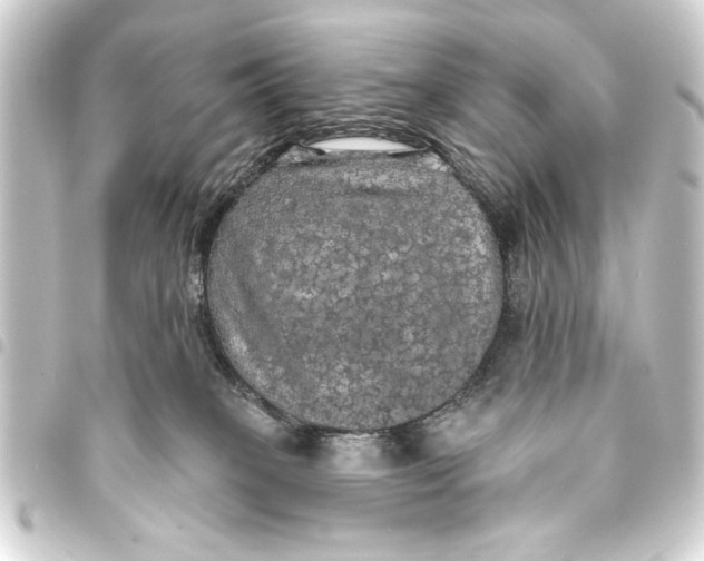 X0000093400085200711020943