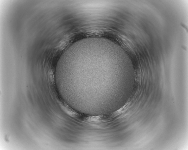 X0000093400086200711020943