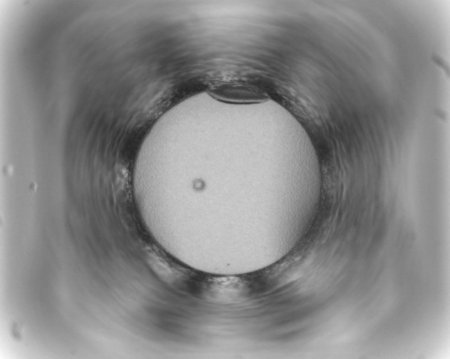 X0000093400087200711020943