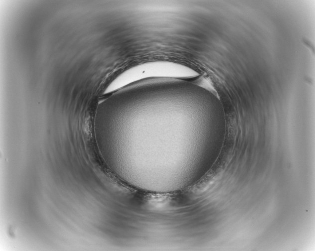 X0000093400088200711020943