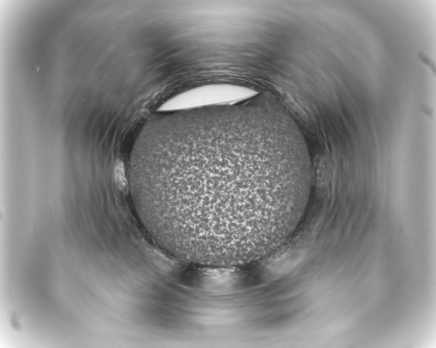 X0000093400089200711020943