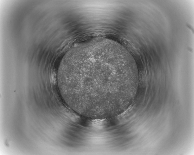 X0000093400090200711020943