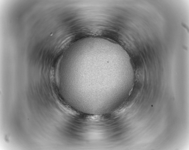 X0000093400092200711020943