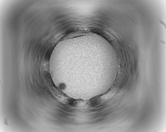 X0000093400096200711020943