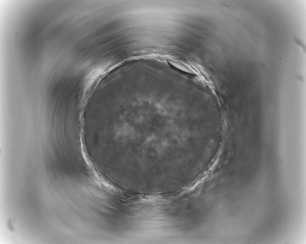 X0000093400097200711020943