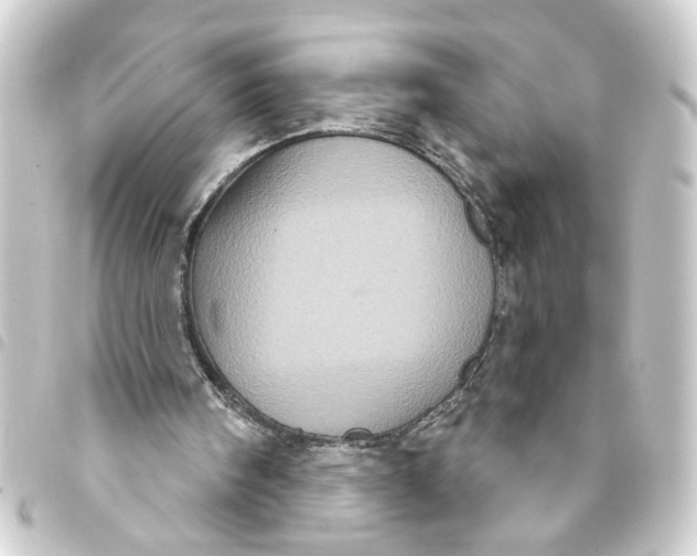 X0000093400098200711020943