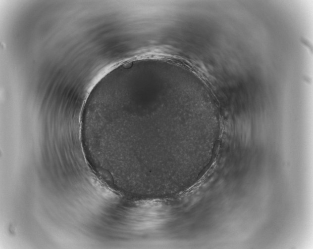 X0000093400100200711020943