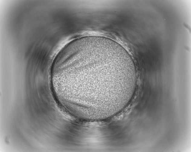 X0000093400103200711020943