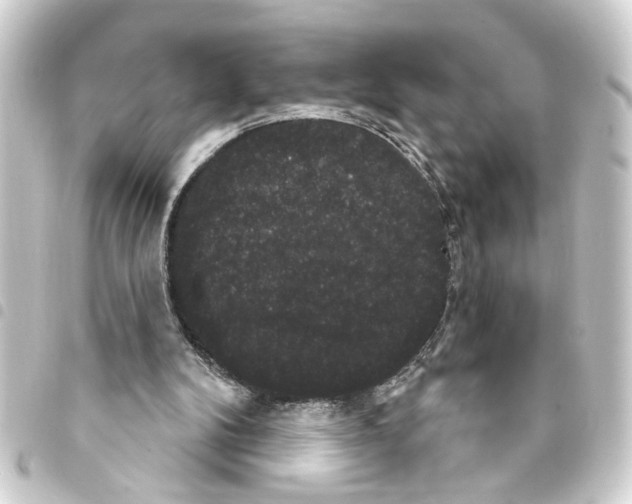 X0000093400104200711020943