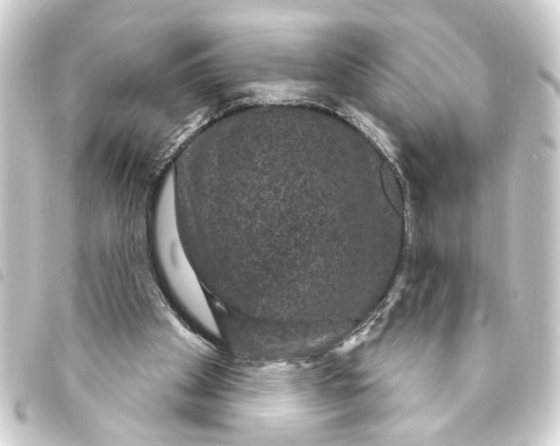 X0000093400105200711020943