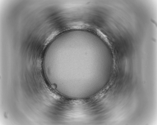 X0000093400106200711020943