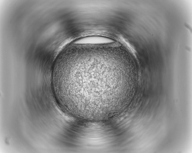 X0000093400107200711020943