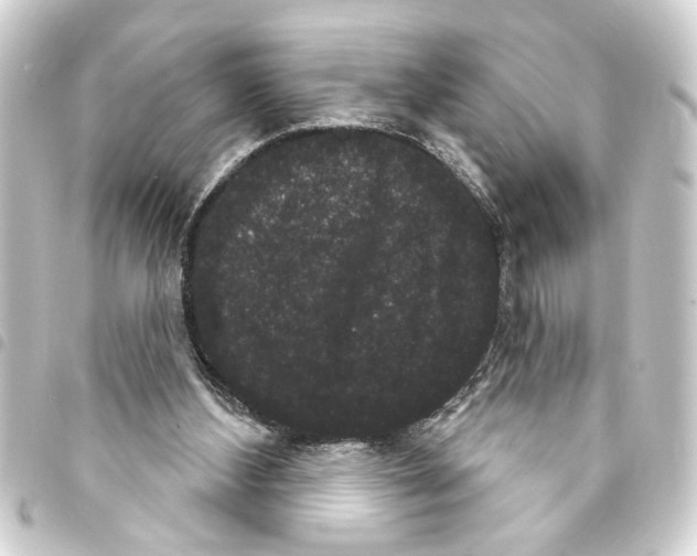 X0000093400108200711020943