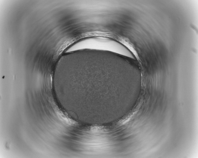 X0000093400109200711020943