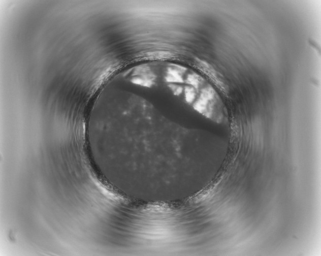 X0000093400110200711020942