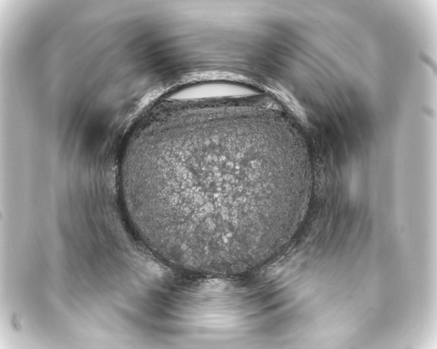 X0000093400111200711020942