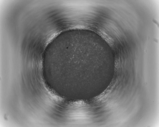 X0000093400112200711020942