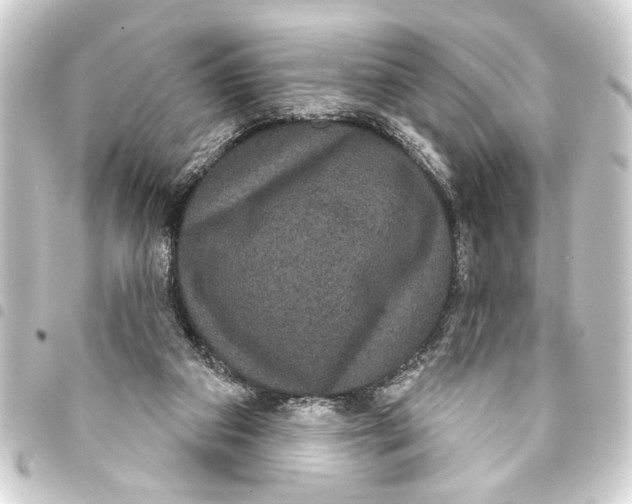 X0000093400113200711020942