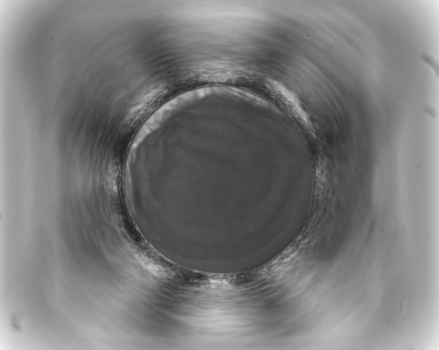 X0000093400114200711020942