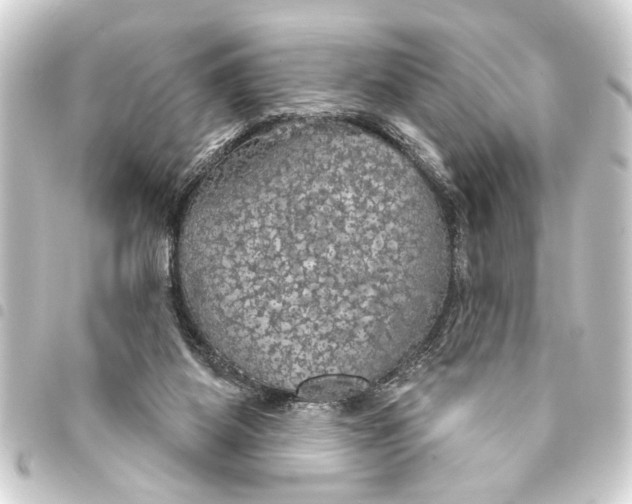 X0000093400115200711020942