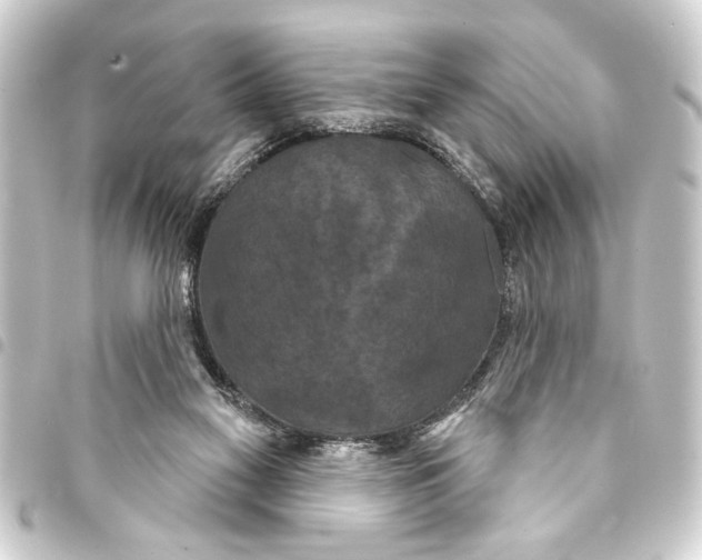 X0000093400117200711020942