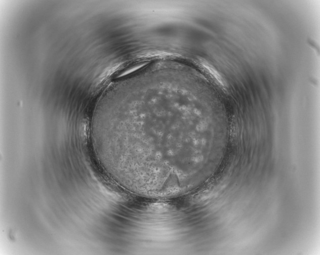 X0000093400119200711020942