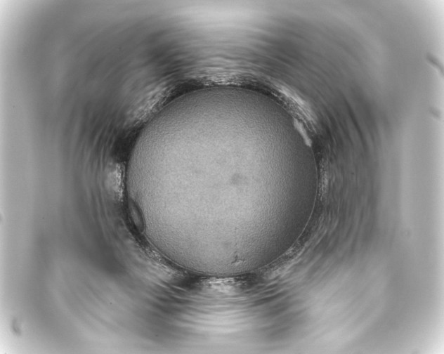 X0000093400121200711020942