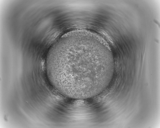 X0000093400123200711020942